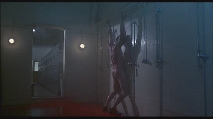 A Nightmare on Elm Street 2: Freddy's Revenge DVD Image Vault Gallery