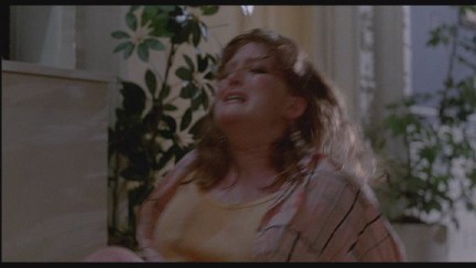 A Nightmare on Elm Street 2: Freddy's Revenge DVD Image Vault Gallery