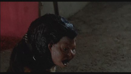 A Nightmare on Elm Street 2: Freddy's Revenge DVD Image Vault Gallery