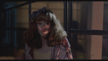 A Nightmare on Elm Street 2: Freddy's Revenge DVD Image Vault Gallery