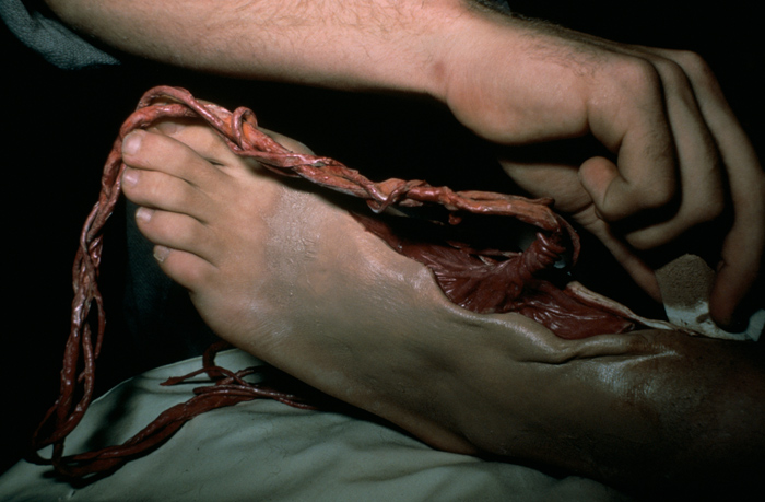 A Nightmare on Elm Street 3: Dream Warriors Behind-the-Scenes Gallery