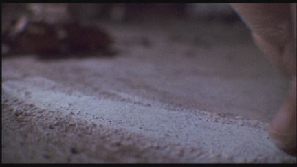 A Nightmare on Elm Street 4: The Dream Master DVD Image Vault Gallery