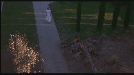 A Nightmare on Elm Street 4: The Dream Master DVD Image Vault Gallery