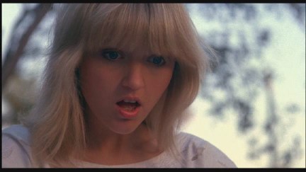 A Nightmare on Elm Street 4: The Dream Master DVD Image Vault Gallery