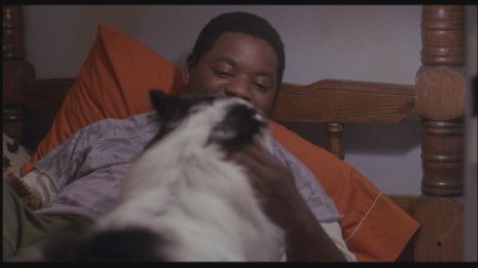 A Nightmare on Elm Street 4: The Dream Master DVD Image Vault Gallery