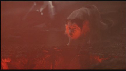 A Nightmare on Elm Street 4: The Dream Master DVD Image Vault Gallery