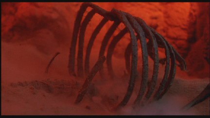 A Nightmare on Elm Street 4: The Dream Master DVD Image Vault Gallery