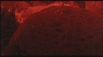 A Nightmare on Elm Street 4: The Dream Master DVD Image Vault Gallery