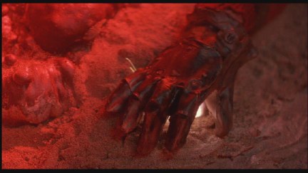 A Nightmare on Elm Street 4: The Dream Master DVD Image Vault Gallery