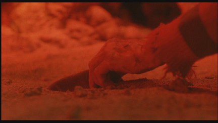 A Nightmare on Elm Street 4: The Dream Master DVD Image Vault Gallery