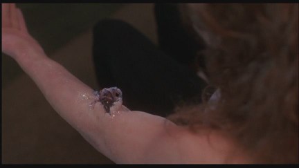 A Nightmare on Elm Street 4: The Dream Master DVD Image Vault Gallery