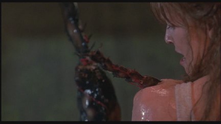 A Nightmare on Elm Street 4: The Dream Master DVD Image Vault Gallery
