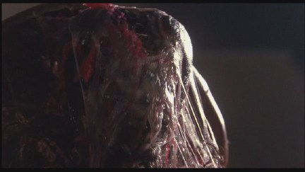 A Nightmare on Elm Street 4: The Dream Master DVD Image Vault Gallery