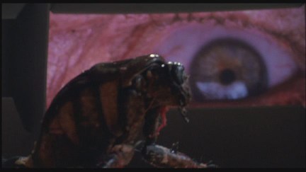 A Nightmare on Elm Street 4: The Dream Master DVD Image Vault Gallery