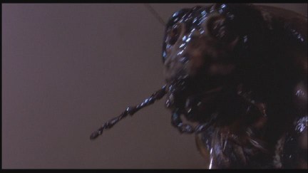 A Nightmare on Elm Street 4: The Dream Master DVD Image Vault Gallery