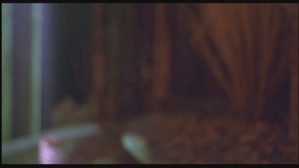 A Nightmare on Elm Street 4: The Dream Master DVD Image Vault Gallery