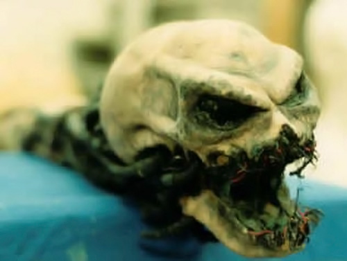 A Nightmare on Elm Street 5: The Dream Child Behind-the-Scenes Gallery