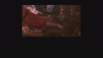 A Nightmare on Elm Street: DVD Image Vault