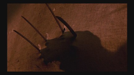 A Nightmare on Elm Street: DVD Image Vault