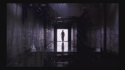 A Nightmare on Elm Street: DVD Image Vault