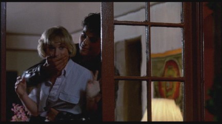 A Nightmare on Elm Street: DVD Image Vault