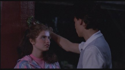 A Nightmare on Elm Street: DVD Image Vault