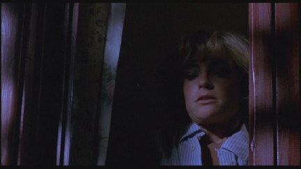 A Nightmare on Elm Street: DVD Image Vault