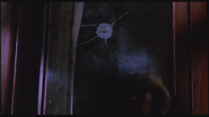 A Nightmare on Elm Street: DVD Image Vault