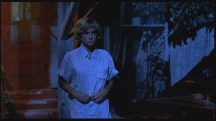 A Nightmare on Elm Street: DVD Image Vault