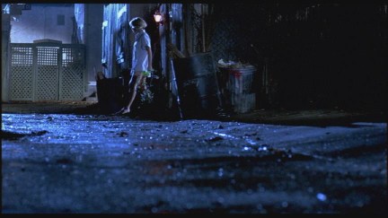 A Nightmare on Elm Street: DVD Image Vault