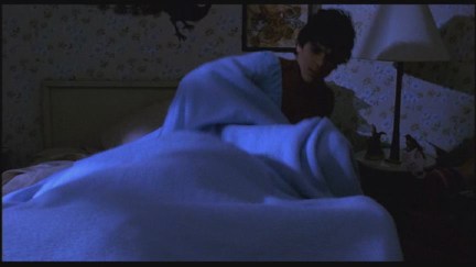 A Nightmare on Elm Street: DVD Image Vault