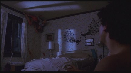 A Nightmare on Elm Street: DVD Image Vault