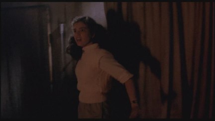A Nightmare on Elm Street: DVD Image Vault