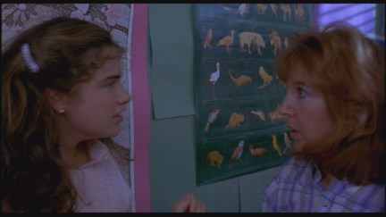 A Nightmare on Elm Street: DVD Image Vault