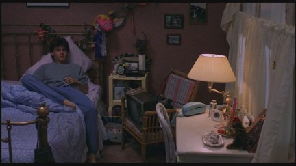 A Nightmare on Elm Street: DVD Image Vault