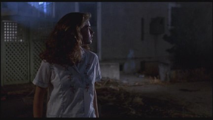 A Nightmare on Elm Street: DVD Image Vault