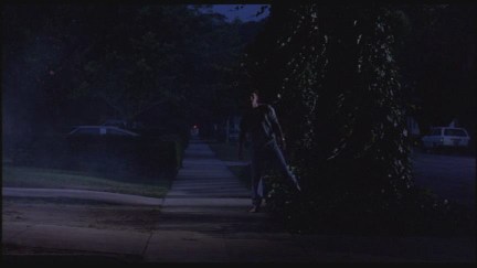 A Nightmare on Elm Street: DVD Image Vault