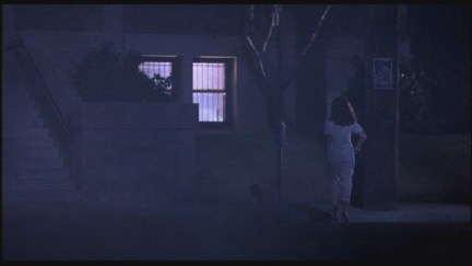 A Nightmare on Elm Street: DVD Image Vault