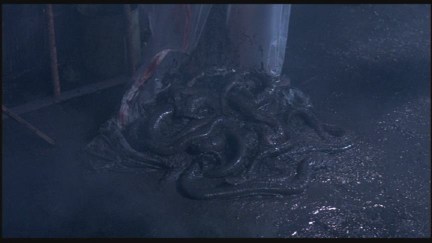 A Nightmare on Elm Street: DVD Image Vault
