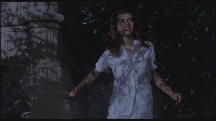 A Nightmare on Elm Street: DVD Image Vault