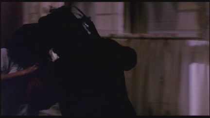 A Nightmare on Elm Street: DVD Image Vault