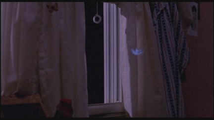 A Nightmare on Elm Street: DVD Image Vault