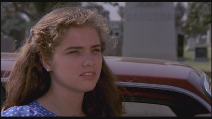 A Nightmare on Elm Street: DVD Image Vault