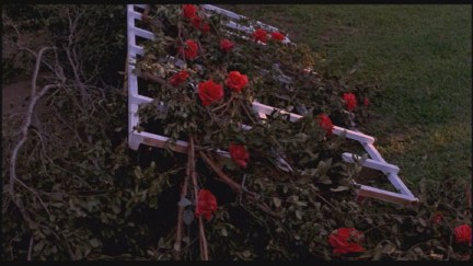 A Nightmare on Elm Street: DVD Image Vault
