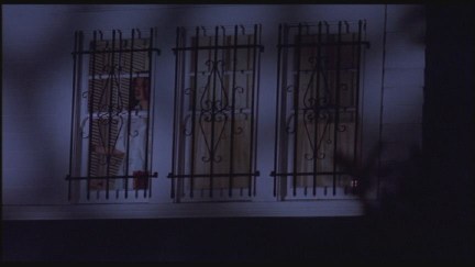 A Nightmare on Elm Street: DVD Image Vault