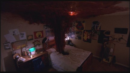 A Nightmare on Elm Street: DVD Image Vault