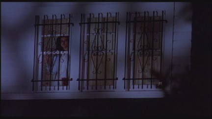 A Nightmare on Elm Street: DVD Image Vault