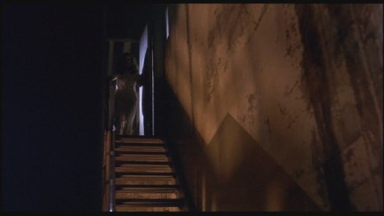 A Nightmare on Elm Street: DVD Image Vault