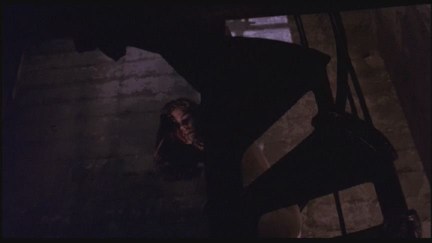 A Nightmare on Elm Street: DVD Image Vault