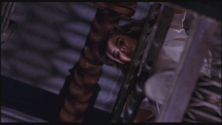 A Nightmare on Elm Street: DVD Image Vault